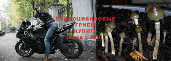 прущая мука Белоозёрский