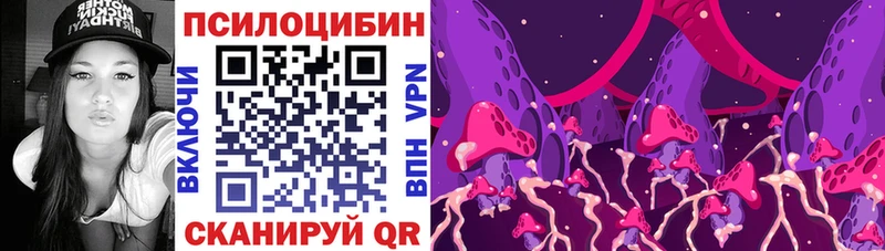 купить наркотик  мориарти как зайти  Псилоцибиновые грибы мухоморы  Верещагино  блэк спрут вход 